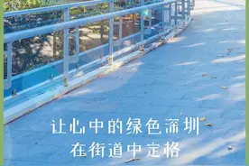 咔嚓拍个照，手机平板大礼包等你拿！图片