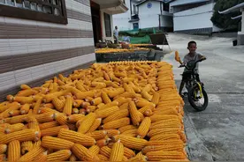 广西马山：“三清三拆”齐推进 乡村旧貌换新颜图片