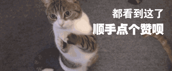 猫不理我怎么办