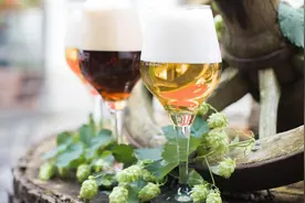 你还以为啤酒花只能酿酒，那就OUT了！快进来上一课吧！图片