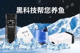 智能养鱼：工作太忙没时间打理鱼缸，黑科技帮你搞定图片