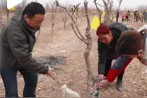 珍惜每一次相聚，哪怕时光短暂图片