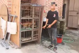 陕西农村贼娃子又来了，还记得当年的偷鸡贼吗图片