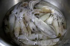 尝鲜 经典的青岛家常菜笔管鱼炖豆腐你爱不图片