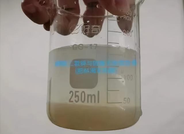 植物如何喷叶面肥？记住3个小技巧，喷一次抵得上两次