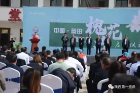 陕西蓝田第六届洋槐花节盛大开幕图片