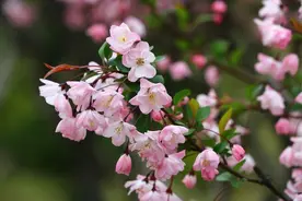 出门露脚踝，容易寒湿入络，引发关节炎和风湿痛，春季话养生图片