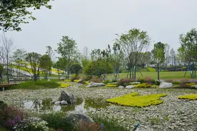 成都美丽宜居公园城市网红打卡点出炉 金牛有两个图片