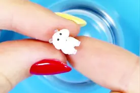 抽屉世界DIY：微型仓鼠视频封面