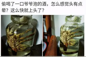喝了一口爷爷泡的酒，后劲很足啊，现在头很晕，网友：准备后事吧图片