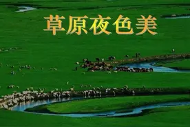 《草原夜色美》的词曲作者从未去过草原竟创作出脍炙人口的歌曲。图片