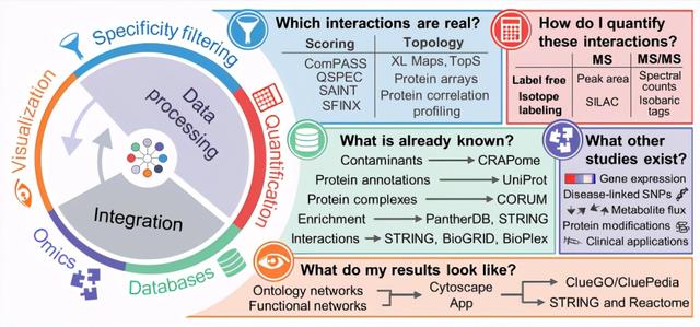 基因功能研究的那些套路你知道多少？（中）