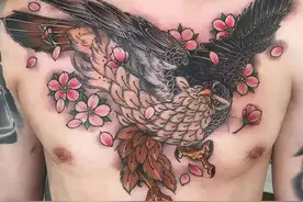 象征睿智的猫头鹰图案，真是每个风格都各有韵味和特点图片