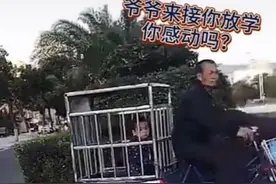 爷爷的“豪华婴儿车”火了，高配置引路人围观：想要这样的爷爷图片