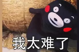 组员不给力，又怕分数上不去？我该怎么和导师有效“抱怨”？图片