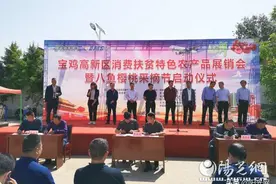 宝鸡高新区消费扶贫特色农产品展销会暨八鱼樱桃采摘节开幕图片