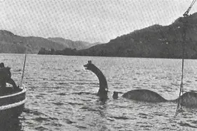 1977年，日本渔船捕捉一头海怪，却被船长丢入海中图片