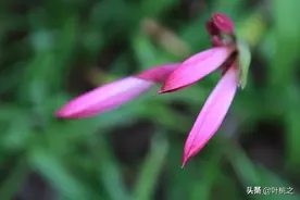 判断一个男人的人品，看这3点就够了图片