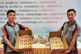 奉化水蜜桃产地直发，京沪63城顺丰“今寄明到”，全国236城可寄图片