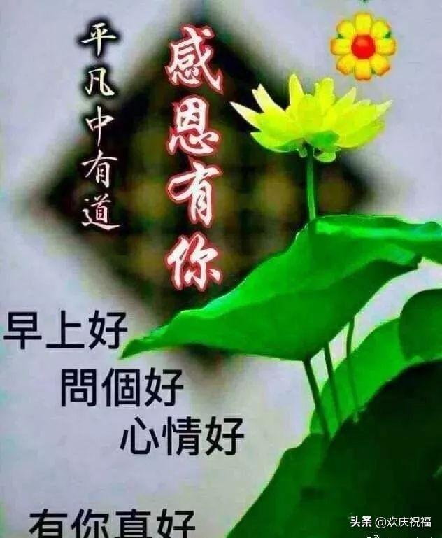 清晨问候朋友的早安阳光暖心句子,最美早上好问候祝福语动态片