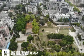 期待！福州版“莫奈池塘”将亮相！就在地铁口边上图片