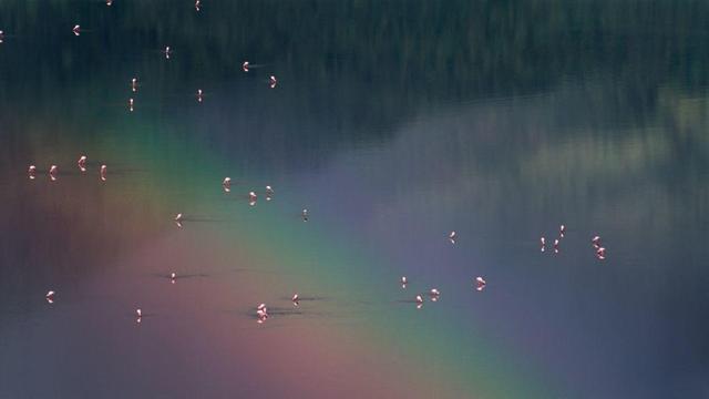 网飞首度公开播放数据，全球最多人看的神剧前十名，拯救剧荒的你