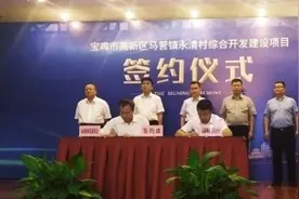宝鸡高铁新城又一重量级项目落地，投资70亿开发永清村。图片