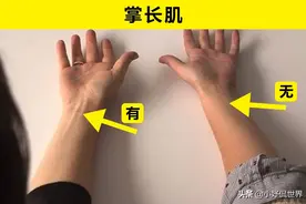 进化并未停止？这6个身体部位可证明我们的身体依然还在进化图片