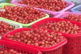 10元一公斤！樱桃大量上市，价格断崖式下跌图片