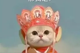 ［聊天表情包］为啥没有臭宝的消息图片