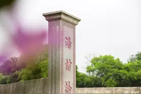 荣获“国家森林乡村”！快看贵港这个村，你慕了吗图片