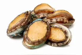 鲍鱼性温补，怎一个贪字了得？一天吃一个，味美更健康图片