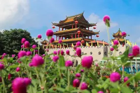 嗨玩、拍美照...网红观音山九大奇趣项目，让您快乐一“夏”图片