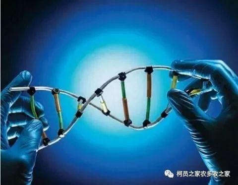 氨基酸、腐殖酸、黄腐酸都是什么东东？有啥用？