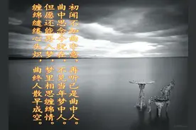 写给天堂爱妻的第四封信（四七，爱妻去世第二十八天）图片