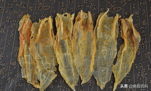 100头花胶是什么意思 100头的花胶好不好