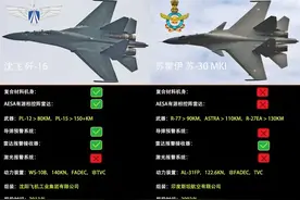 又蠢又坏！印度献出苏-30MKI模拟歼-16，给日本F-15J当“靶机”？图片