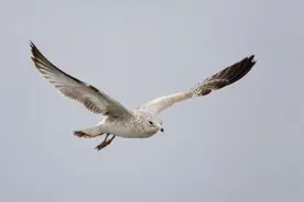 钱是挣出来的，也是攒出来的图片