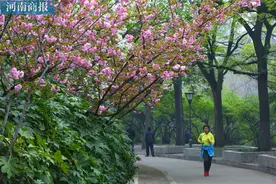 实拍雨后郑州公园：“晨练族”重出江湖，百花争春美翻了图片