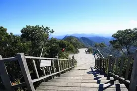 乐东尖峰岭——中国十大最美森林公园排第三，快来森呼吸图片