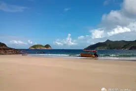 新凤鸣：产能扩张 盈利可期图片