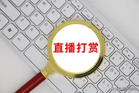 90后男出纳挪用4800万被判12年 法院只追缴直播平台不追缴游戏平台引发讨论图片