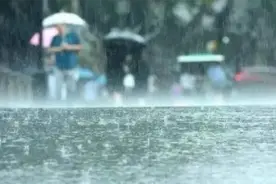 黄梅天来了 霉菌过敏的市民说“每天起床就像开盲盒”图片