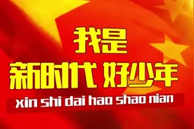 新时代好少年：爱心帮扶小达人 张诗瑶图片