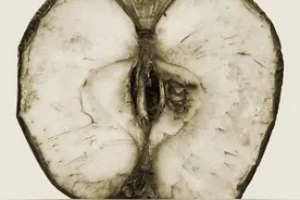 素描水果有时间的小伙伴可以临摹呀图片