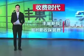 丰巢烧光55亿，收费“自救”涉嫌欺诈，遭硬核对抗“你不是弱者”图片