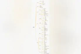 截至2021年，如何选择最佳的文件分享方案？图片