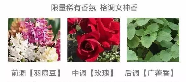 莱凯娜香水身体乳