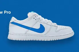 「Nike SB Dunk Colors By」开天辟地四大天王图片