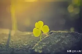 《墨菲定律》：你是什么样的人，就吸引什么样的人图片